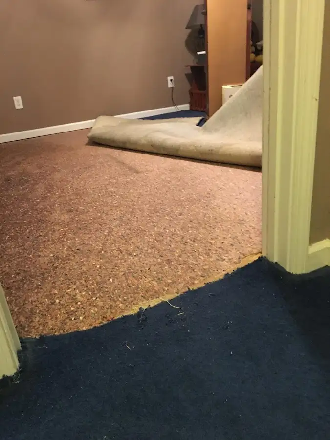 Carpet pad removal revealing water damage during Drying & Dehumidification in West Springfield Town