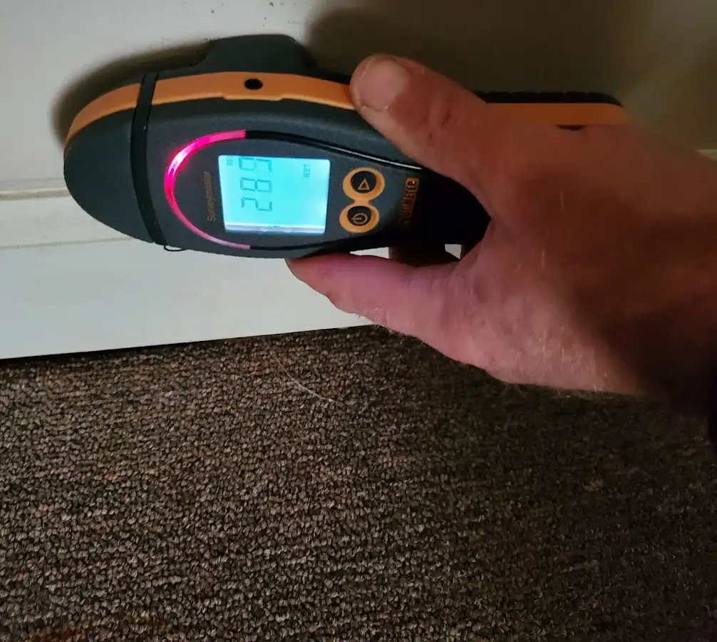 Moisture detection at baseboard during Sewage Cleanup & Sanitation in West Springfield Town